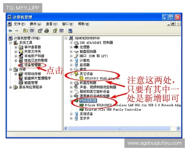 斗球直播官网入口安全可靠的访问方式推荐确保用户观看体验无忧